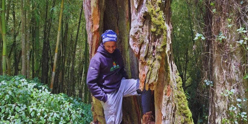 The Giant Bamboo-Burguret Hike