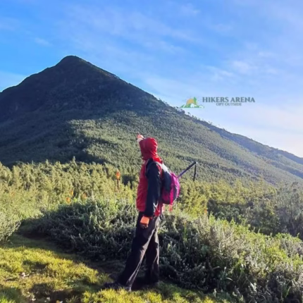 Elephant Hill Bamboo & Alpine Hike