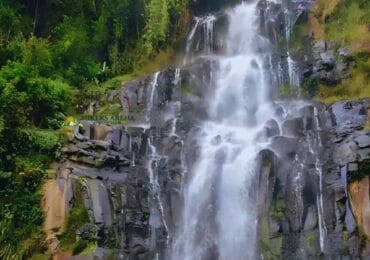 Zaina Forest & Hydrotherapy Hike