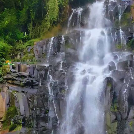 Zaina Forest & Hydrotherapy Hike
