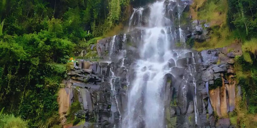 Zaina Forest & Hydrotherapy Hike