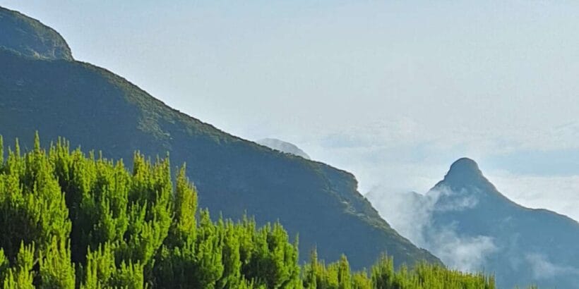 Mau Mau Peak