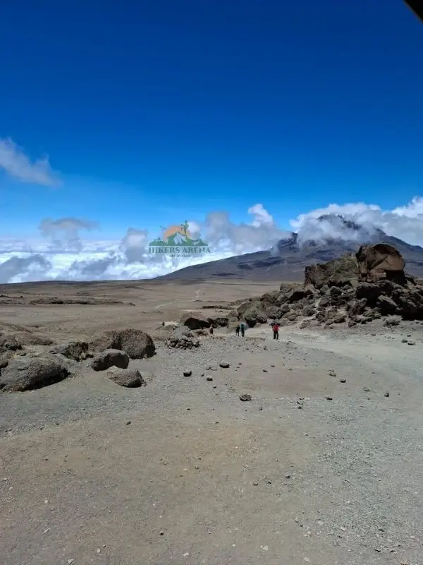 Mount Kilimanjaro Summer Mount Kilimanjaro Summer