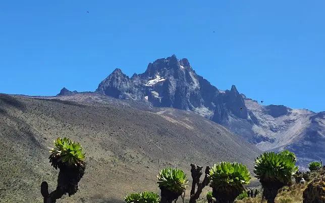 Mount Kirinyaga Trek Home Coverr